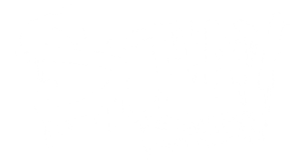 Stay Saucey Apparel